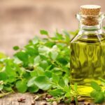 Oil of oregano with fresh leaves on wooden background.